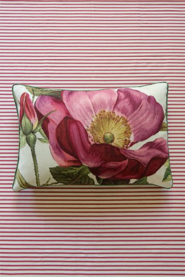 Vivienne’s Rose Pink Cushion: in-situ image